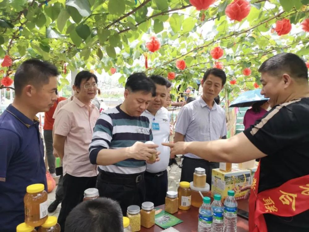 龙晓飞到万安县农合联乡村旅游示范基地调研指导