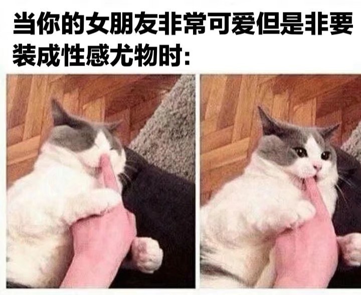 搞笑趣图:如果你在忙女朋友非要亲亲你会怎么做?