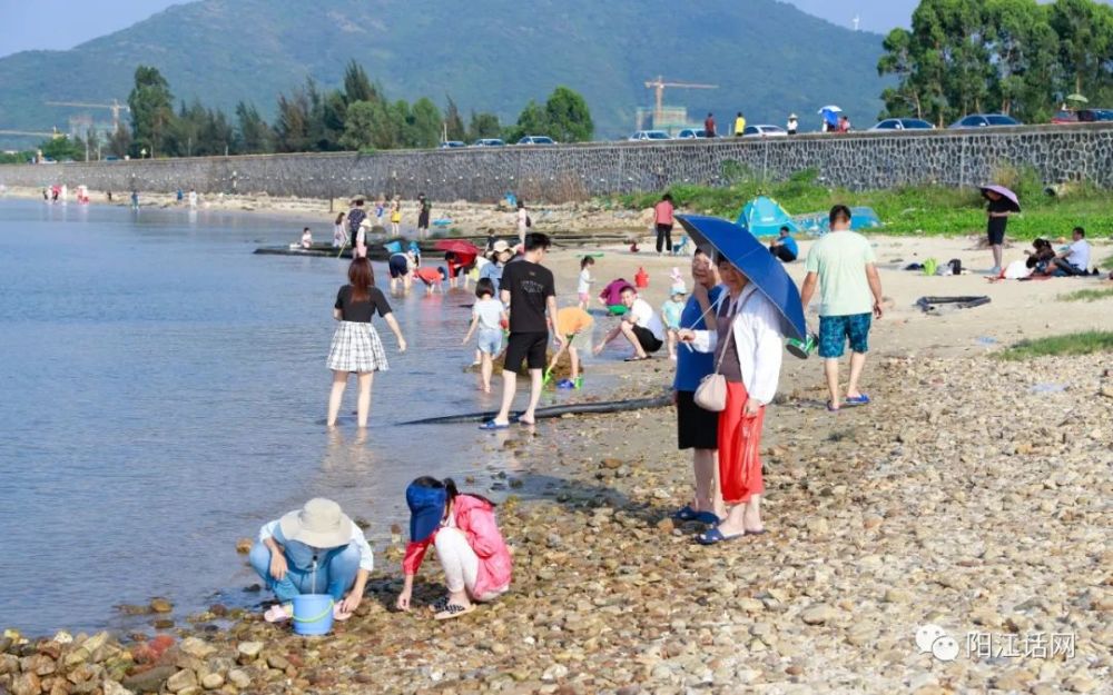阳江市海陵区北极里灶村海滩众多游客赶海美景下午篇