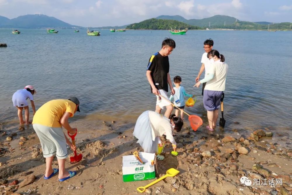阳江市海陵区北极里灶村海滩众多游客赶海美景下午篇