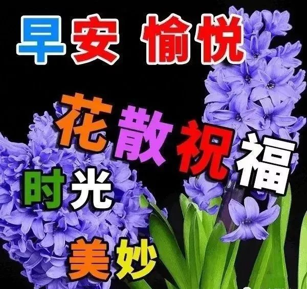 8张微信早上好问候语超漂亮的美女图片问候,暖心的早上好问候祝福语
