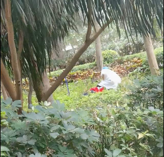 诡异!三亚红衣女子在阳台外跳舞,我不敢看