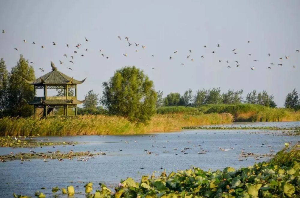 项王故里洪泽湖湿地走进宿迁领略它的美丽风光