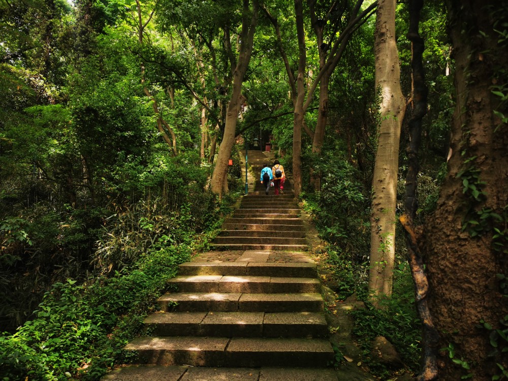 杭州美景,宝石山风景,可鸟瞰西湖的地方