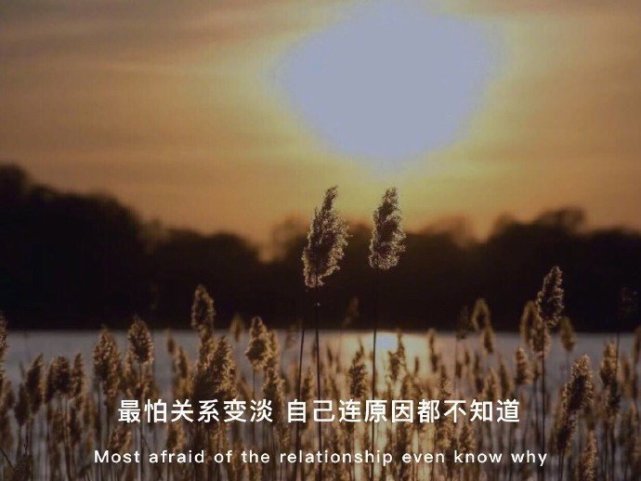 文案背景图:人最软弱的地方就是舍不得