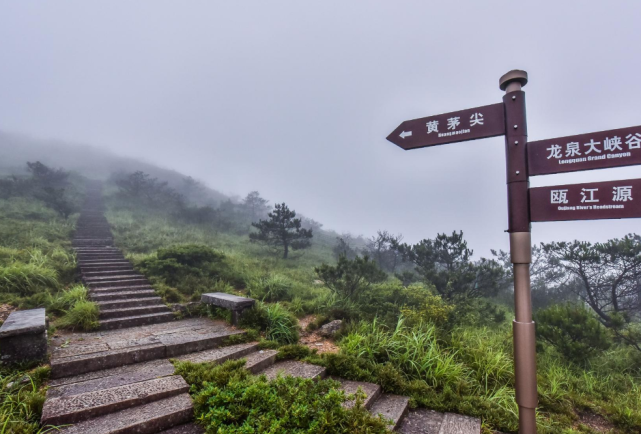 这里就是黄茅尖景区,地处浙江龙泉市,是一座风景秀丽,巍峨无比的山峰