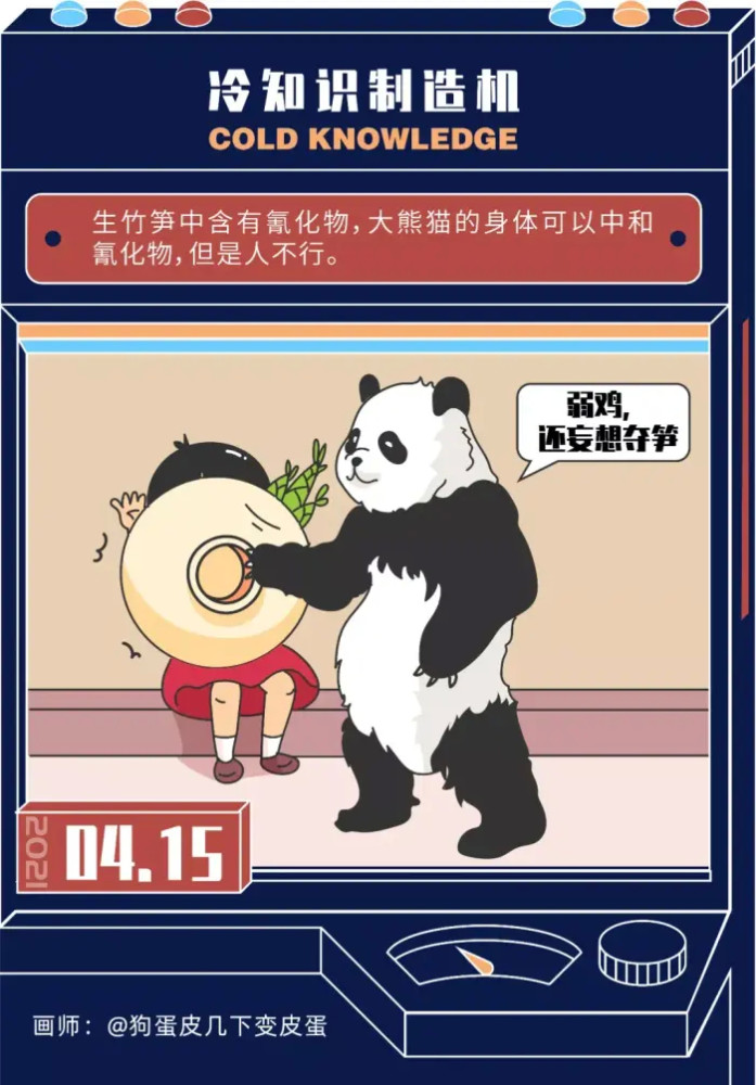 冷知识:生笋有毒,为啥大熊猫吃了就没事儿?