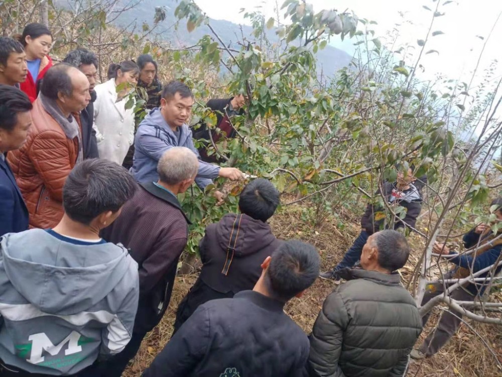 姜强和果园村村民探讨种植技术.