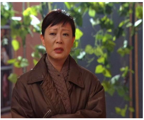 小品女王杨蕾:丈夫为娶"婶婶"将她抛弃,伤心十年至今仍是单身