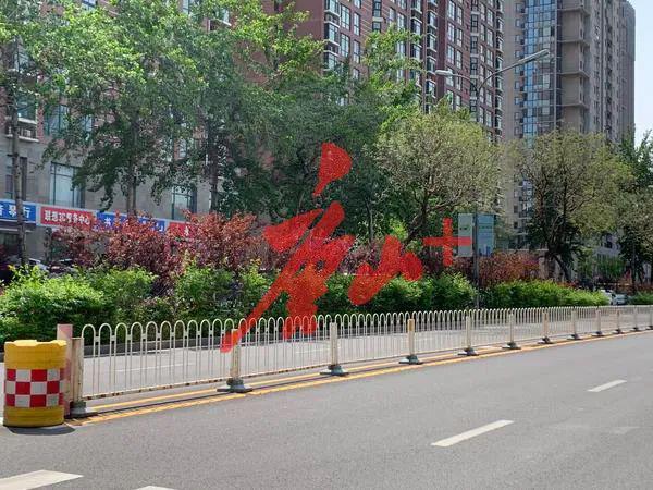 问政唐山丨建华道绿化带太高了影响交通