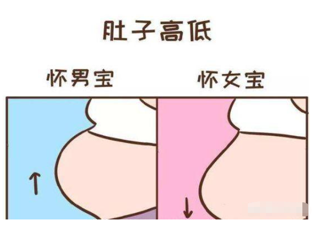 "上怀男,下怀女"?孕妇肚子形状不同,对胎儿有哪些影响