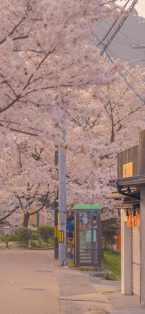 手机桌面壁纸——日本街景