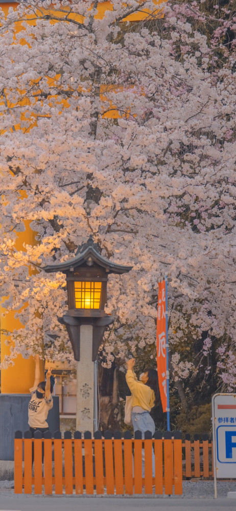 手机桌面壁纸——日本街景