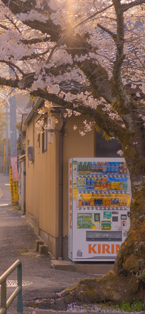 手机桌面壁纸——日本街景