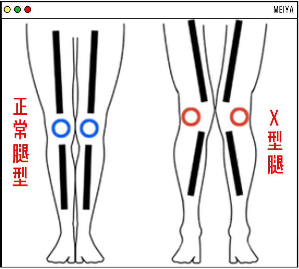 2021最新美腿新标准来了!快来对应一下看你及格没?