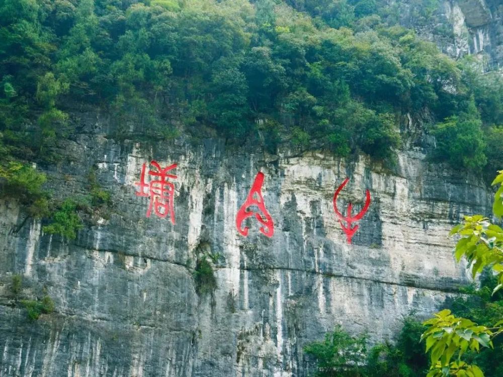 "卫星视角下的美丽乡村"——梦幻云门囤,开启绿意之旅