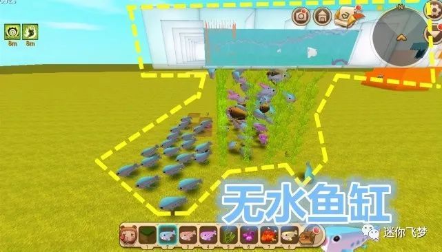 迷你世界:大神5步建造"无水鱼缸",小鱼变身陆地鱼,畅游无比