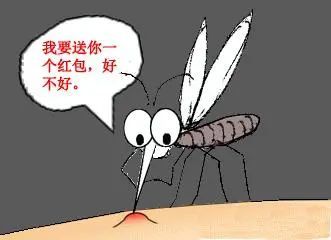 张小羊: 可恶的蚊子