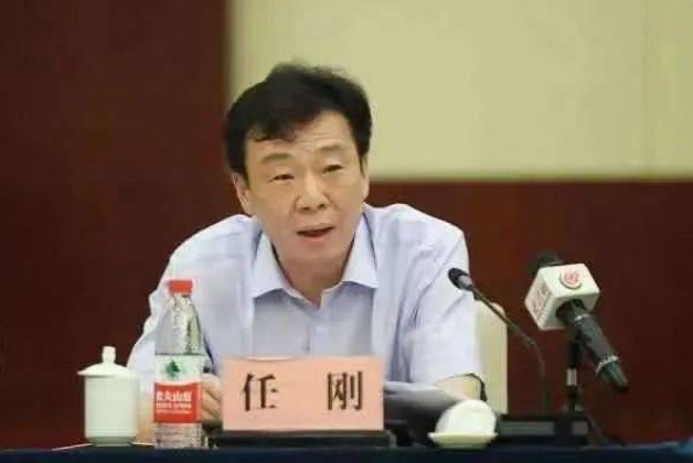 任刚临沂市代市长