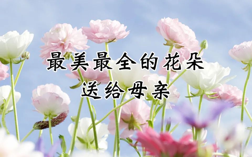 祝妈妈健康长寿简谱_祝妈妈长寿简谱(3)