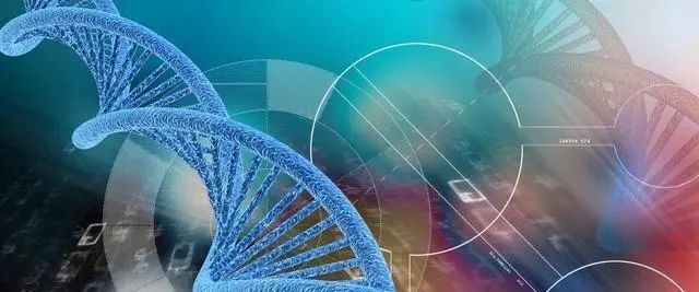 人类是被设计出来的产物?科学家研究dna,发现了"造物者"