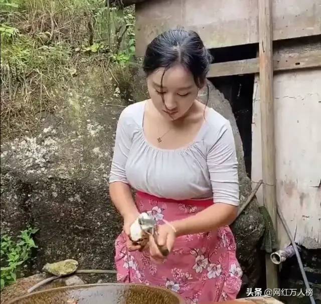有多少网红是戴着虚假的面具说说我看到的武夷乡愁沈丹