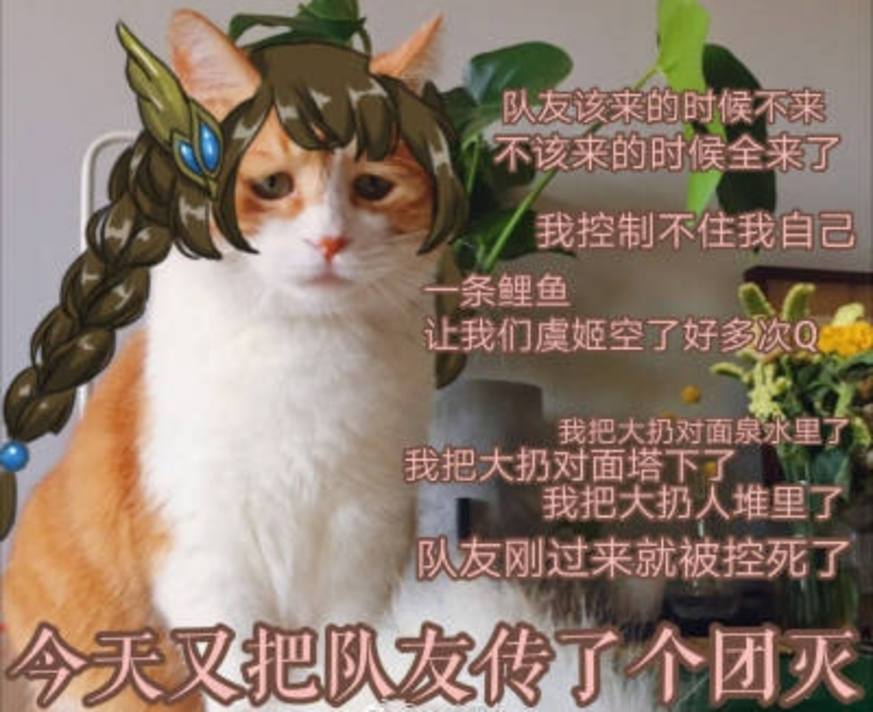 "哈哈哈,太有趣了"沙雕表情包分享|王者荣耀大乔【第八期】