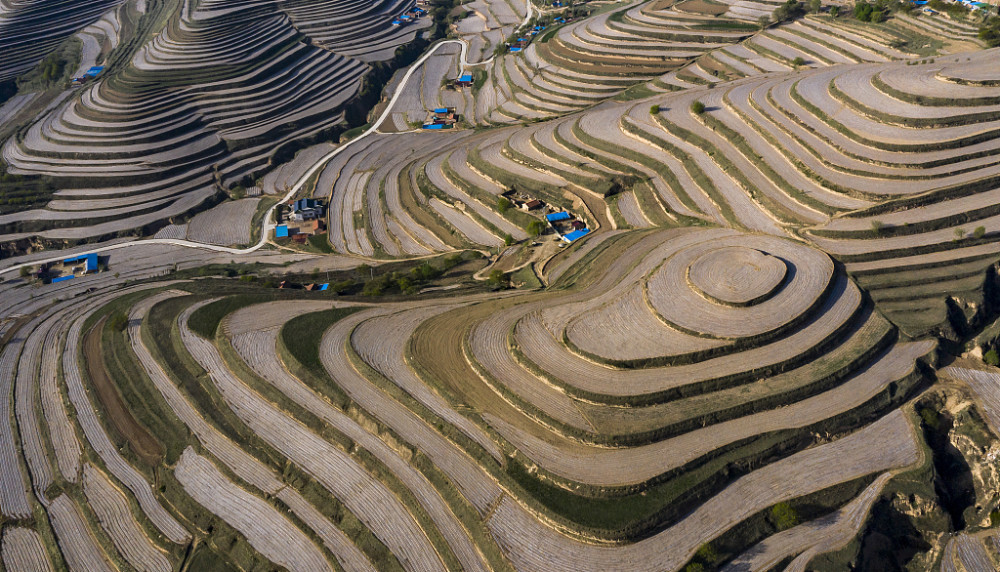 宁夏固原:青云湾梯田,黄土地上的乐章,因生态环境良好,每天早晨日出