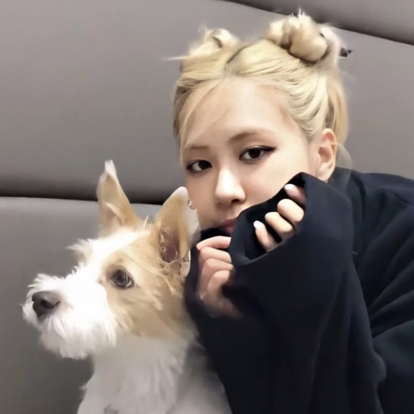 blackpink rosie绝美头像,她身上有光!_腾讯新闻