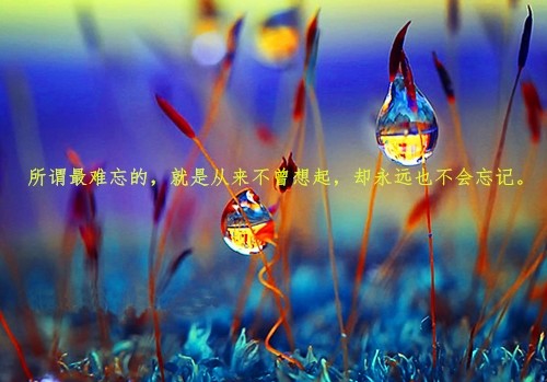 1,有些事,家人也不理解自己,所以我们要学会转移心情,因为只有这样