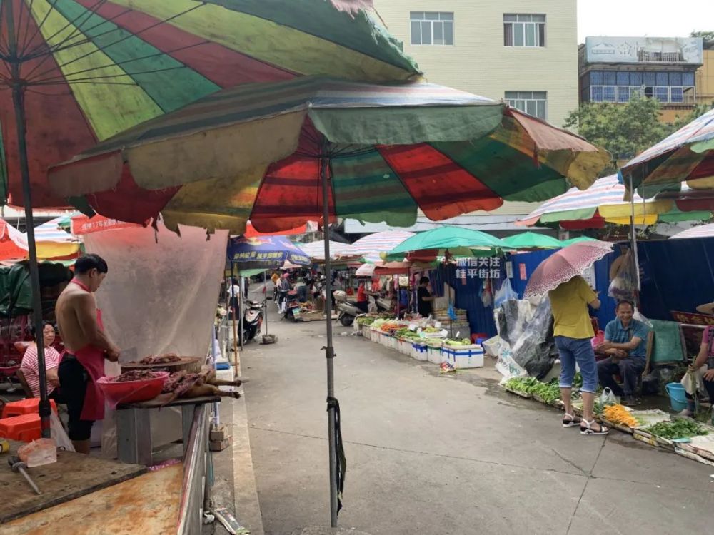 桂平人:桂平最多人逛的这几个菜市场,你平时都在那个买菜呢?