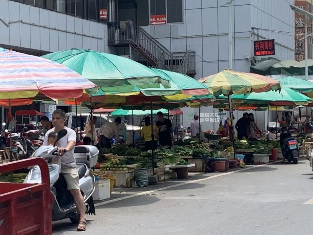 桂平人:桂平最多人逛的这几个菜市场,你平时都在那个买菜呢?