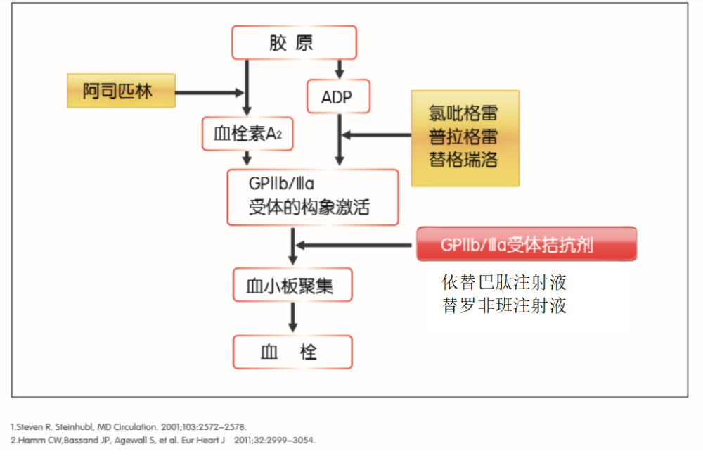 目前 抗血小板聚集已成为pci围手