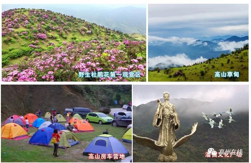 高州重点旅游项目来啦!快来看你镇有份吗?