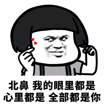 土味情话表情包:我可以撩你吗