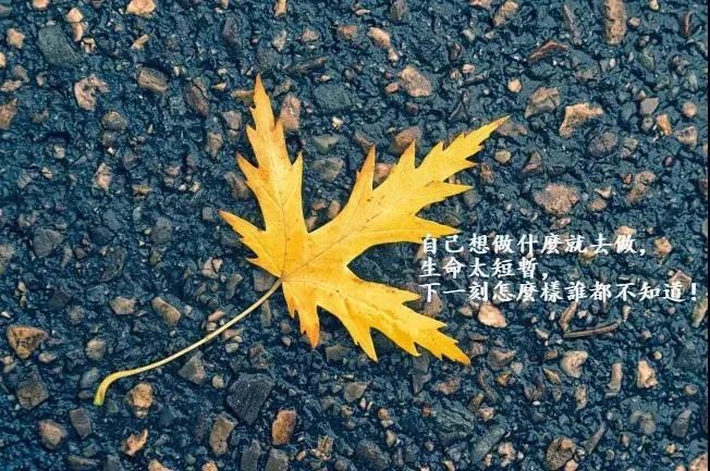 适合发朋友圈的唯美心情说说 句句透心的经典句子