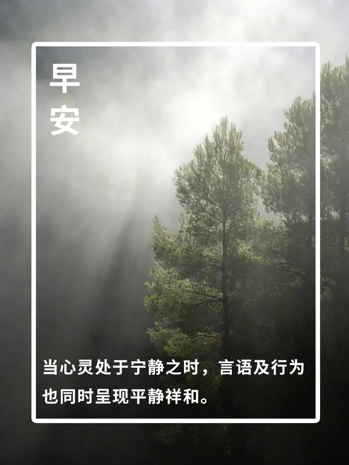 当心灵处于宁静之时,言语及行为也同时呈现平静祥和.早安,我的朋友们!