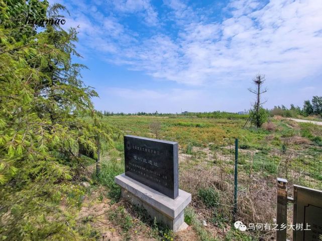 任丘有个哑叭庄村,发现龙山文化遗址,遍布大量黑陶
