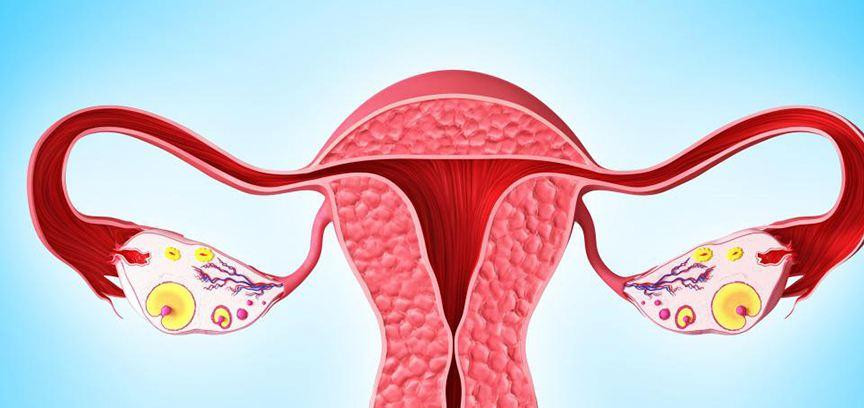 也是卵巢癌的典型症状之一,随着癌肿增大,癌细胞会破坏卵巢正常组织