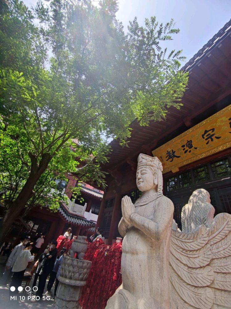 闹市中的净土,古都中的寺庙,郑州大观音寺旅游攻略