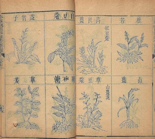 海南周刊《本草纲目—笔耕本草 泽被后世