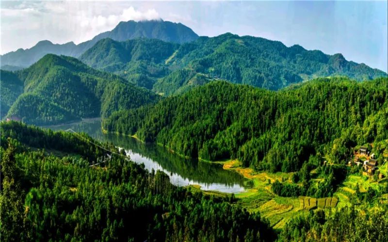 山清水秀景如画!这些地方藏着楚雄初夏最美的景色