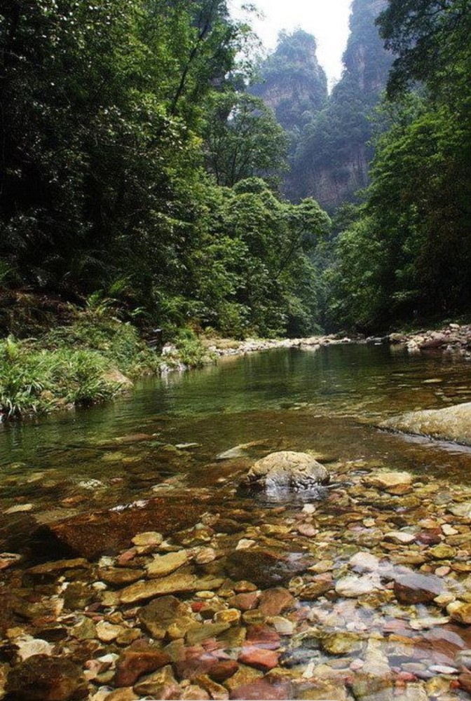 旅行随笔-张家界金鞭溪