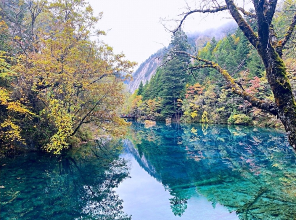 九寨沟四川阿坝州自然风光
