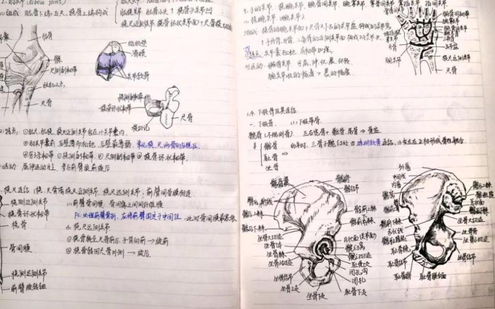 医学生课堂笔记走红画画技术惊艳众人美术生看了拍手称赞