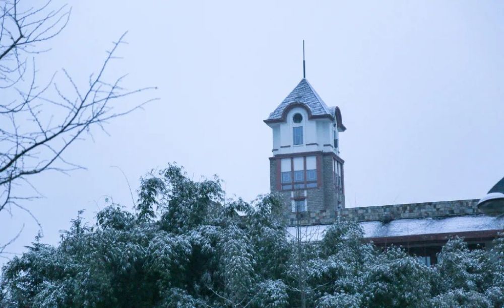 成都东软学院,青城山下最大的养老院型综合网吧