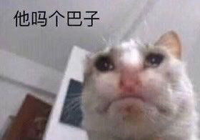 表情包|那些怂了吧唧又巨可爱的表情包姐妹篇