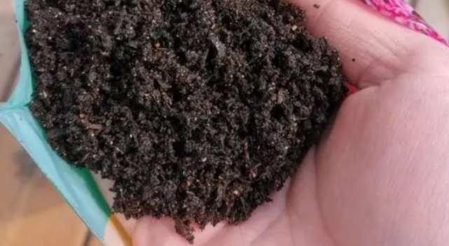 发酵好的羊粪