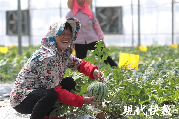 立夏后的第一口西瓜你吃了吗?中国·江宁横溪西瓜节来了