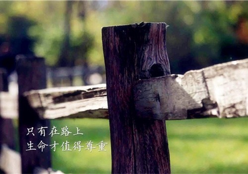 朋友圈努力不放弃的句子集锦28句